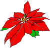stella-natale.gif